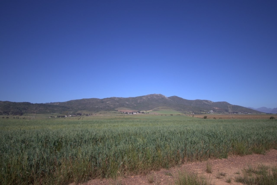 0 Bedroom Property for Sale in Paarl Rural Western Cape